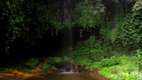 una pequeña cascada gotea por el acantilado con una vegetación exuberante en la piscina de la selva
