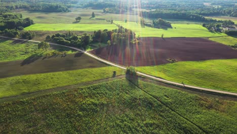 A-Través-De-Tierras-De-Cultivo-Letonas-Cultivadas-Con-Rayos-De-Sol-Brillando-En-El-Paisaje-Escénico-De-La-Hora-Dorada,-Vista-Aérea