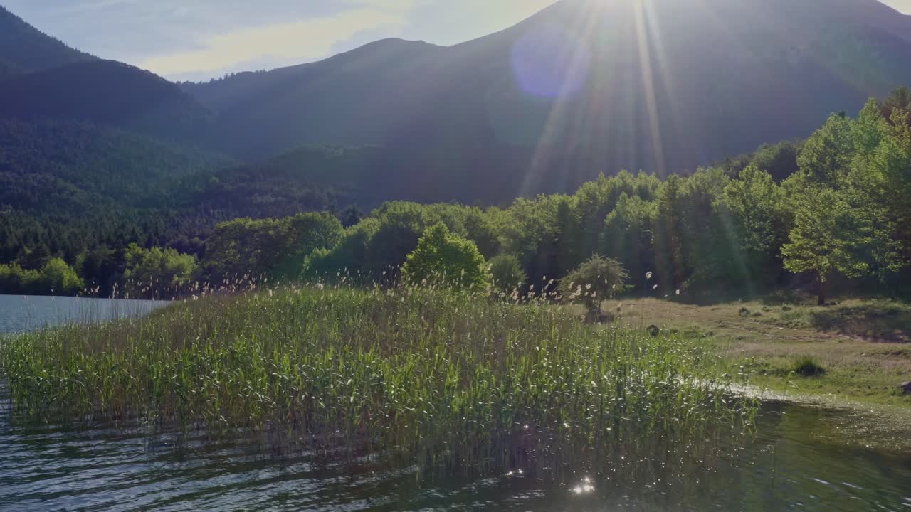 공중 - 햇빛에 대한 호수 식물