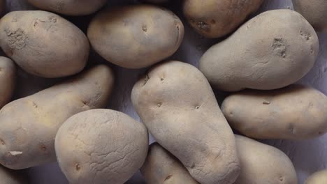 close up of slice of raw potato in a bowl ,