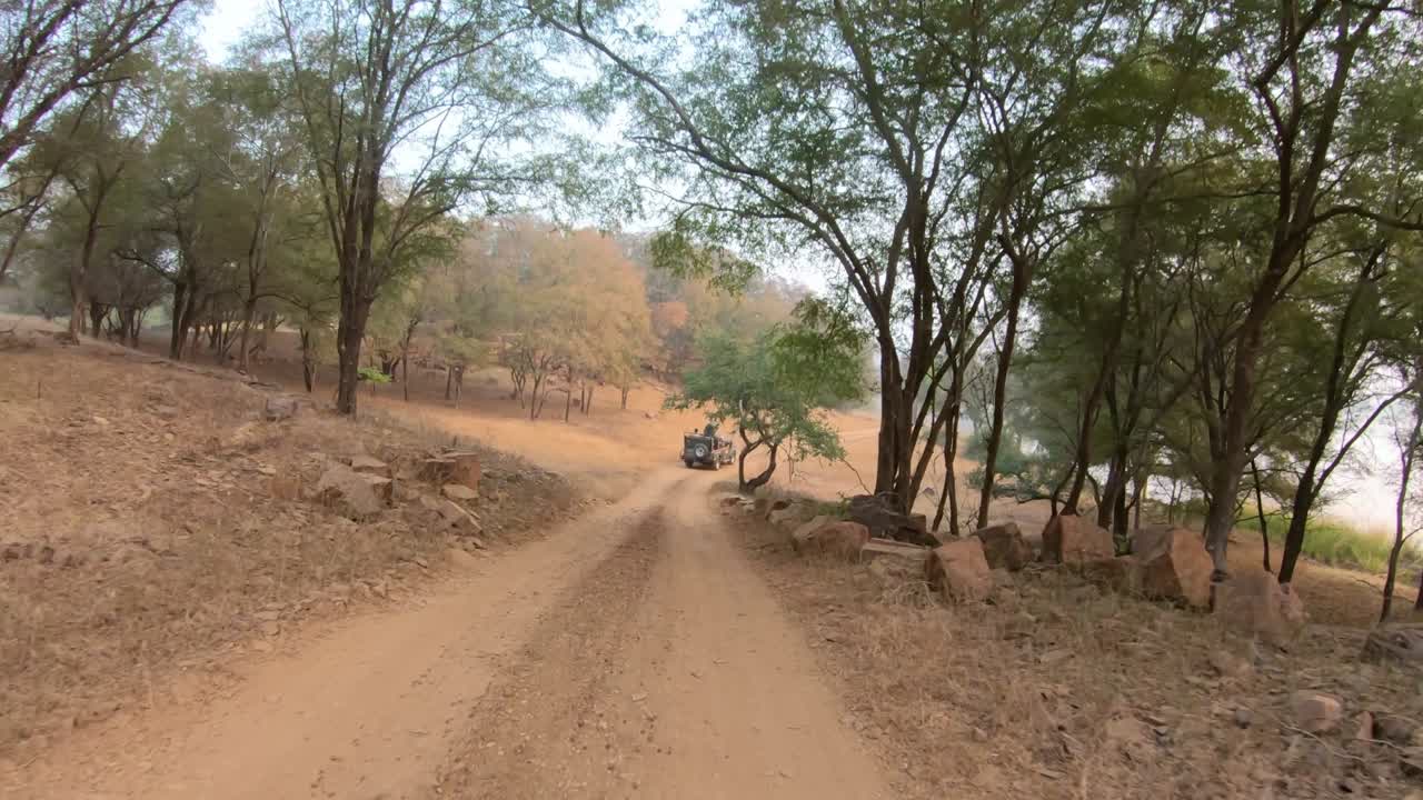 tours de safari en jeep en la india. parque nacional de ranthambore en sawai madhopur en el estado de rajasthan en la india