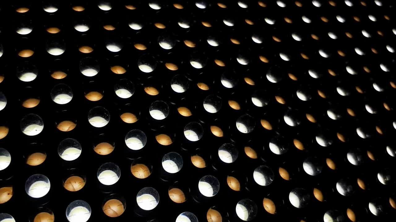 Close Up of Lighting 5500K and 3200K LED Light Diodes-1