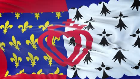 pays de la loire (region of france) flag waving in the wind with highly detailed fabric texture. seamless loop