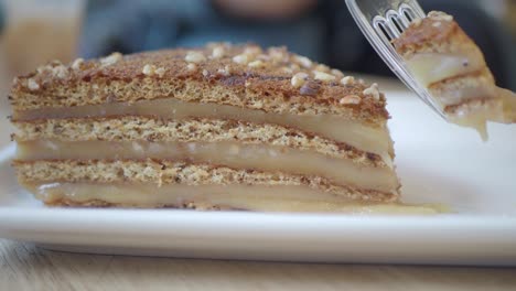 primer plano de una deliciosa rebanada de pastel en un plato blanco