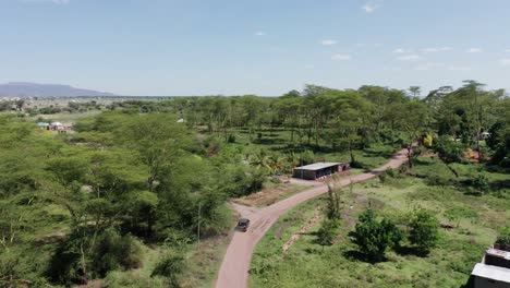 aerial drone shot flying forward following a van in a gravel road surrounded by trees. lake manyara, tanzania, clear sky
