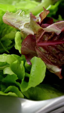 primer plano de lechuga en un tazón