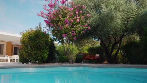 low orbiting shot of a private pool surrounded by trees and plants in full bloom