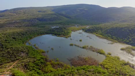 vista aérea panorámica amplia del bosque de manglar costero dominicano al amanecer, infundido en la luz del sol dorada