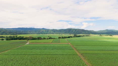 lush green fields under a clear sky