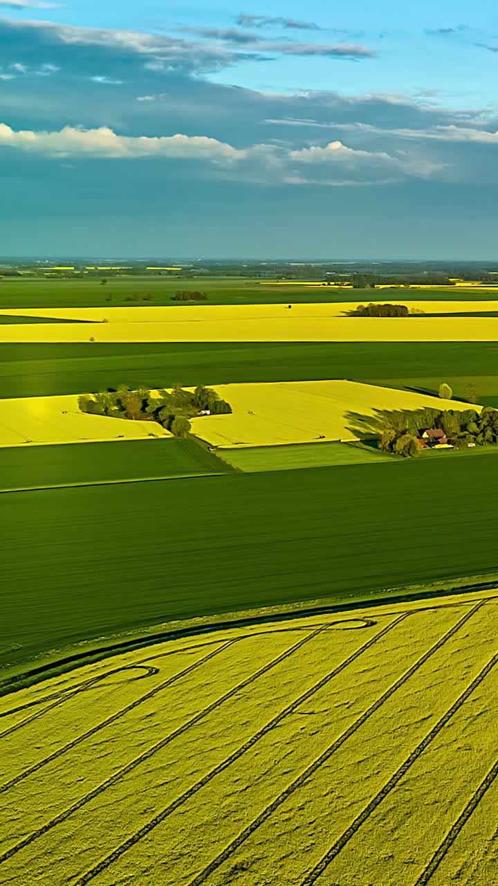 Flying over green fields and farms under a blue sky in a vertical time lapse shot
