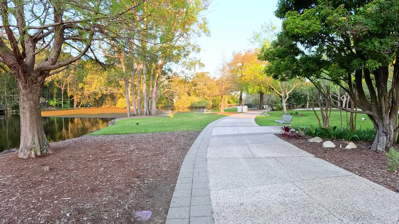 울창 한 초록색 을 가로질러 조용 한 산책