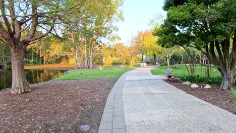 a tranquil walk through lush greenery