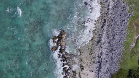 Vistas-Aéreas-De-Vibrantes-Arrecifes-En-Los-Roques