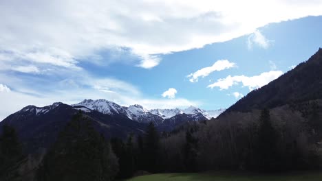 Drone-fly-passed-tree-above-green-field-with-pine-forest-and-snow-covered-mountain-summits-in-background-on-a-sunny-day-with-blue-sky-and-clouds