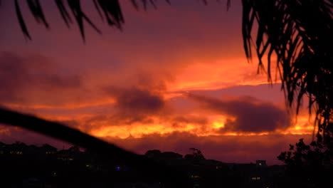 Hermosa-Puesta-De-Sol-De-Fuego-Tormentoso-Con-Palmeras