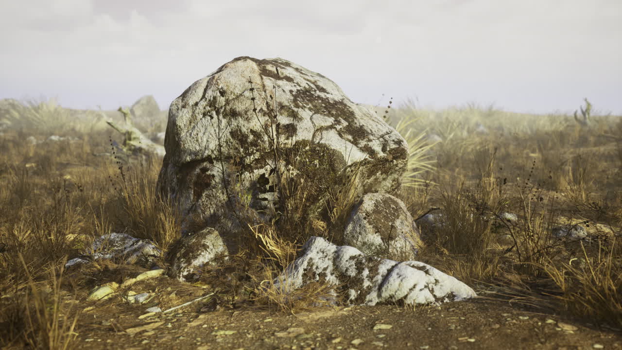 Large weathered rock surrounded by dry grass under a cloudy sky
