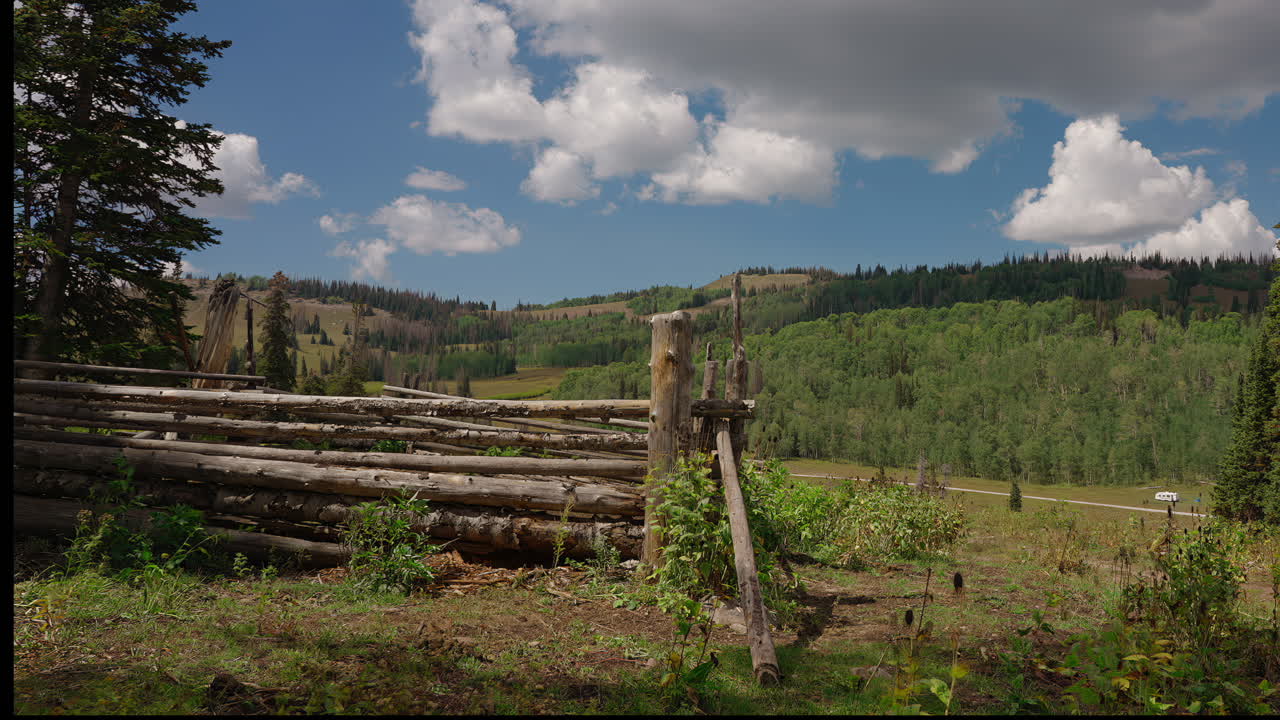 un corral está ubicado en el corazón del bosque de hoja perenne - timelapse