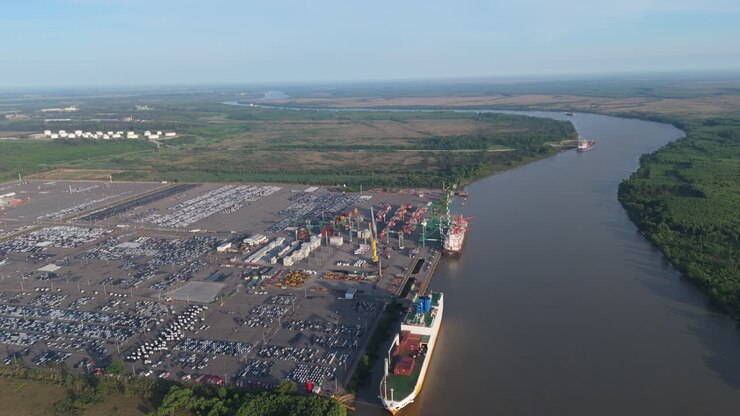 Aerial view of cargo ships unloading at Terminal Zárate port on Paraná River, Argentina