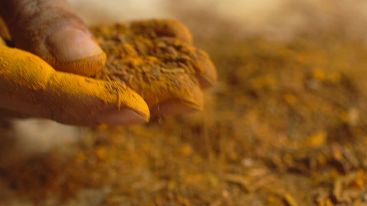 Producing Madder Powder From Plant Roots For Organic Textile Dye And Herbal Medicine