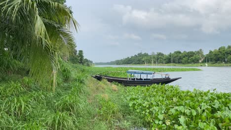 schöne landschaft von bengalen mit einem fluss, einem wald und einem einsamen boot an einem bewölkten tag