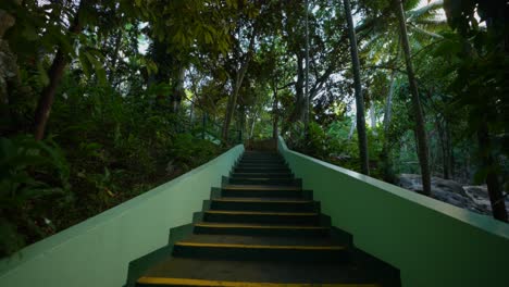 jamaica | ocho rios coast | dunn’s river falls & park | tranquility garden.