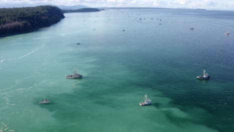 Pull-back-revealing-fishing-boats-during-herring-spawn