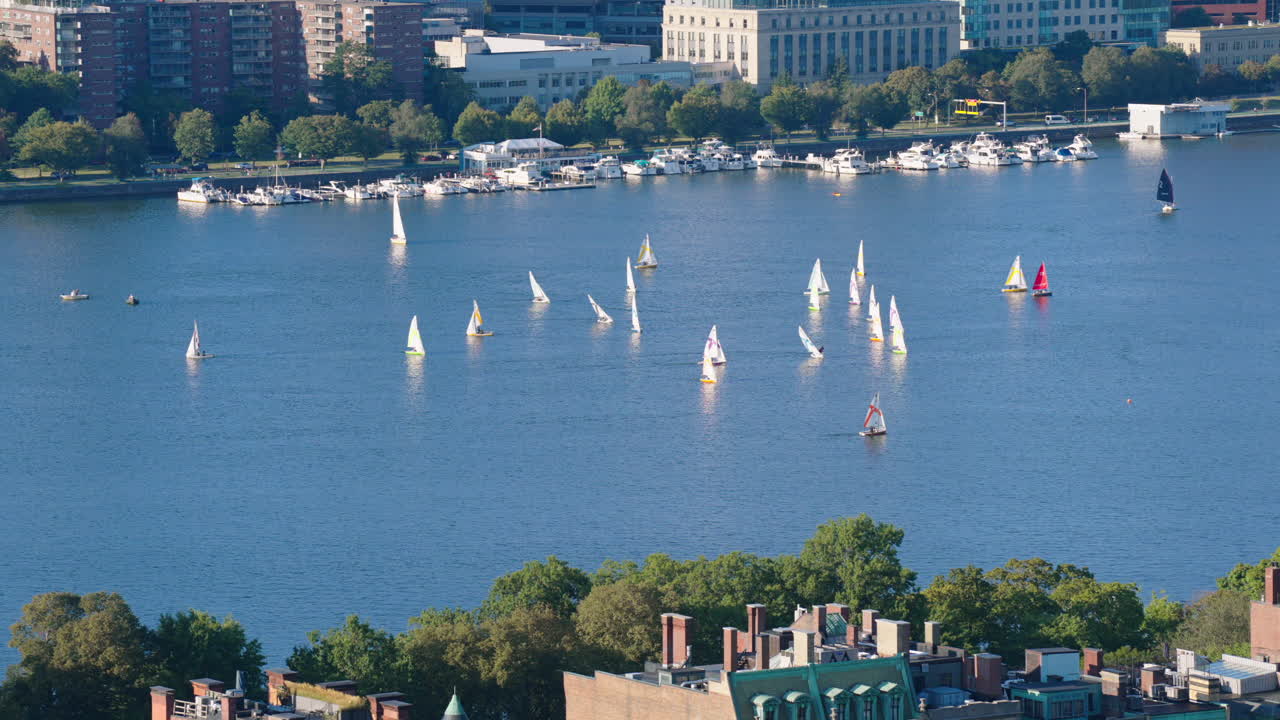 Sailboats On Charles River In Boston, Massachusetts, USA. - wide shot