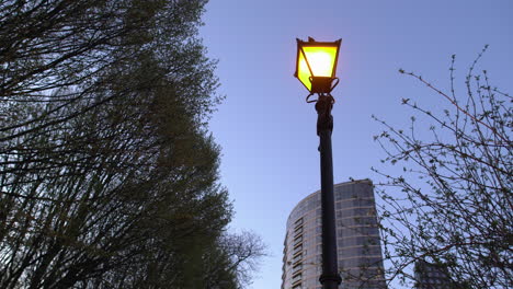 wide angle footage of a lamp post, buildings and trees