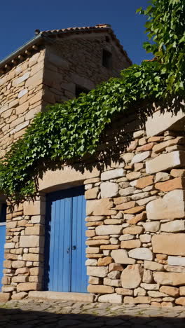 rustic stone building with ivy and blue door