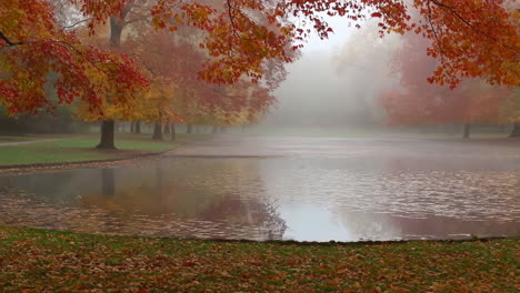 misty autumn pond with colorful trees