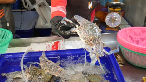 raw live fresh blue flower crab in water bucket for sale at asian fish market thailand