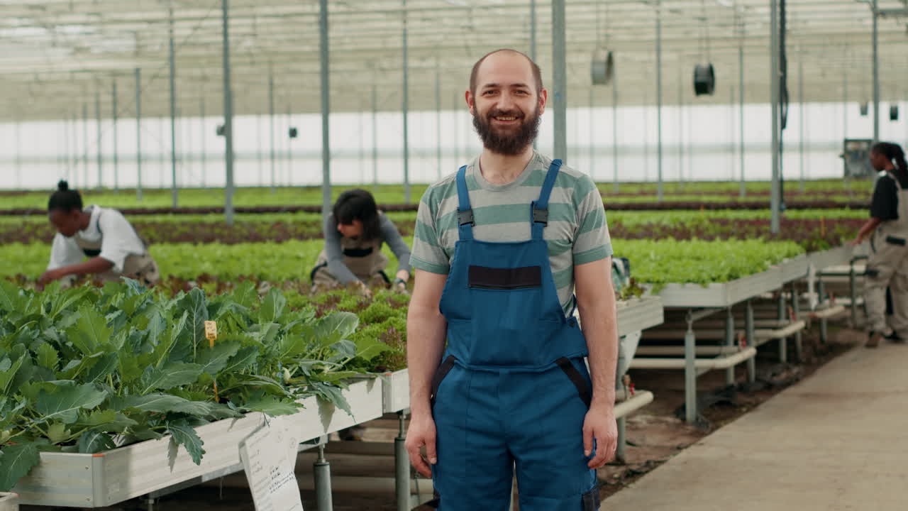Farmers working in a greenhouse with hydroponic crops