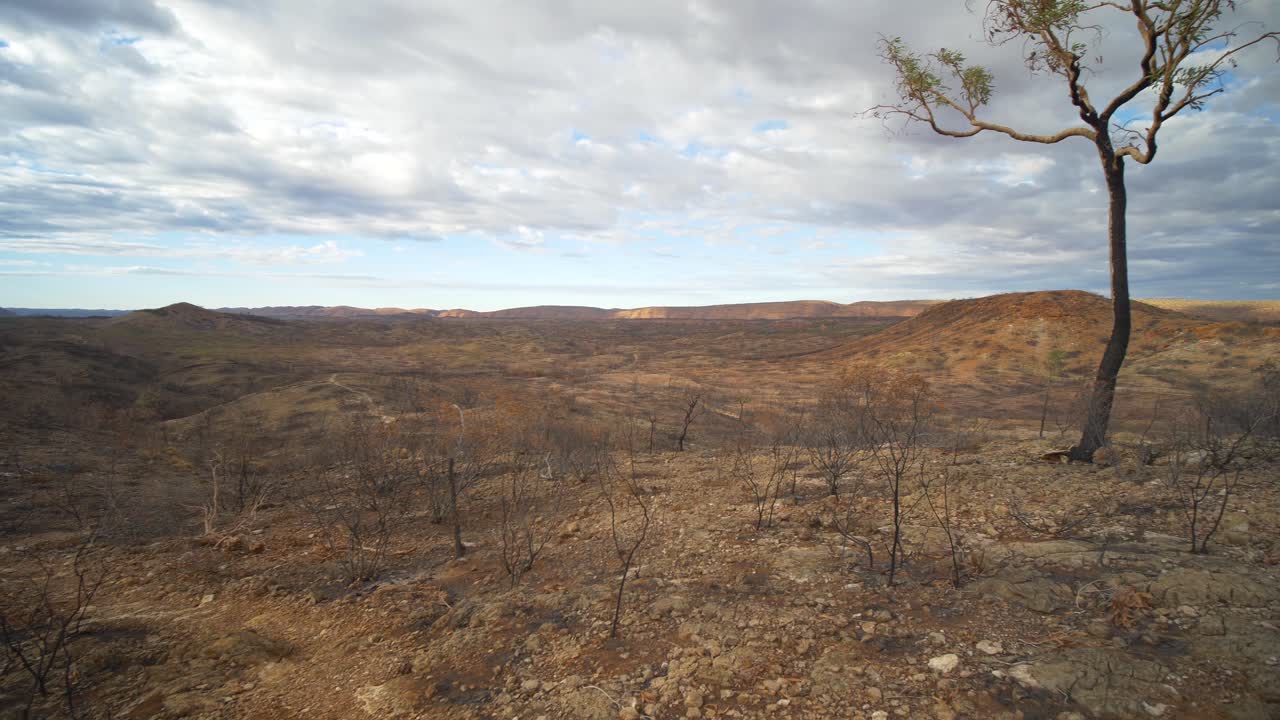 Pan across fire damaged landscape as hiker walks away. Central Australia
