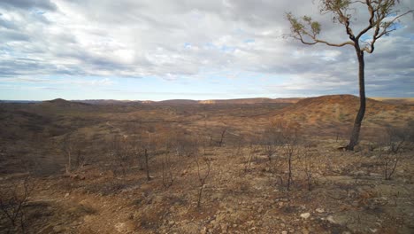 pan across fire damaged landscape as hiker walks away. central australia
