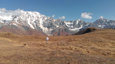 clip aéreo de un excursionista y su perro caminando en terreno llano frente a una cordillera nevada georgiana