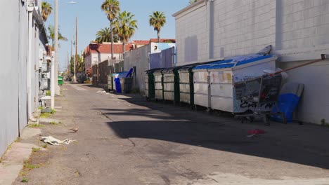 a row of dumpsters in a dirty alley