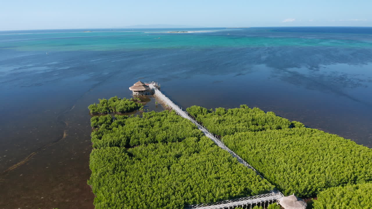 팡라오, 보홀로, 필리핀의 맹그로브를 통해 바다로 가는 대나무 다리를 보여주는 공중