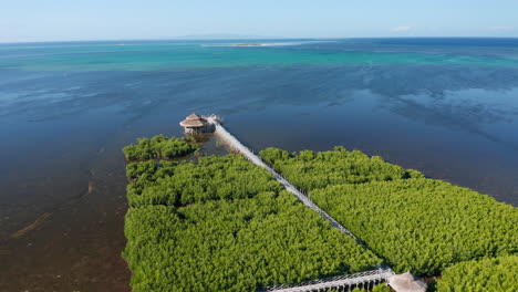 aerial showing an bamboo bridge going into the sea through mangrove in panglao, boholo, philippines