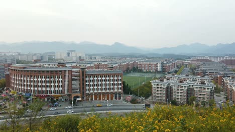 pan left yellow flowers with chinese university town and mountain background