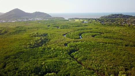 Aerial-footage-of-mangroves-and-Halfmoon-Creek-at-Yorkeys-Knob,-near-Cairns,-Queensland,-Australia