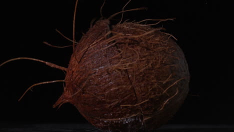 Coconut-falling-and-splitting-on-black-background