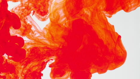 Orange-Paint-Or-Dye-Dropped-Into-Water-Against-White-Background-To-Create-Swirling-Colourful-Smoke-Background