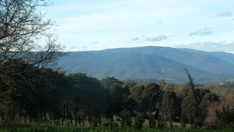 Dandenong-ranges-shot-from-the-Yarra-Valley,-Australia