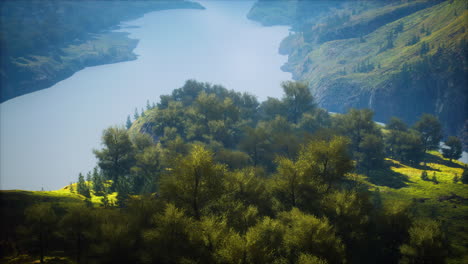 shot-of-a-creek-in-the-middle-of-green-woods-surrounded-by-hills