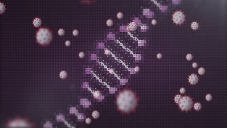 animación de las células del virus y la cadena de adn sobre un fondo gris