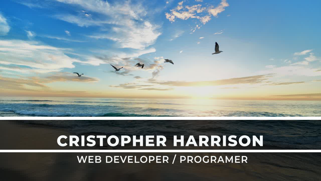 Beach Sunset Landscape with Birds