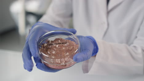 lab-grown meat sample in petri dish