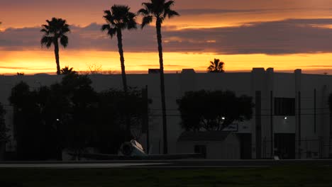 hermosa puesta de sol con palmeras
