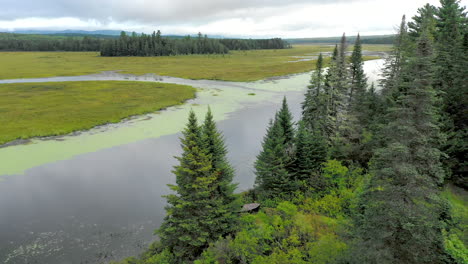 aerial shot revealing the dark waters of shirley bog winding through the maine countryside with tall pine trees in the foreground