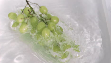 Grapes-falling-into-water-in-super-slow-motion